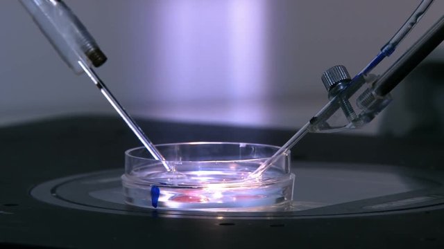 Cell manipulation at a genetics laboratory