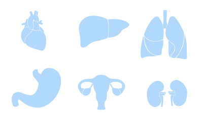 Human organ icon symbol medicine logo set. Heart kidney lungs womb stomach liver innovation medical flat color center vector illustration