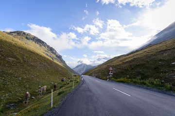 Fototapeta premium Bonitos puertos de montaña en las dolomitas de Italia