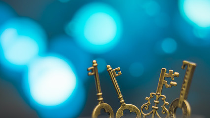 Vintage Skeleton Keys 