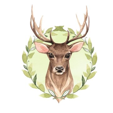 Noble deer. Watercolor illustration