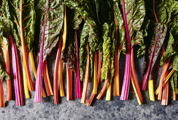 Freshly picked rainbow chard with multicoloured stems.