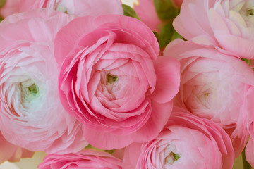 Pink anemone flower bouquet
