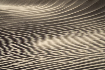 Wind blowing over sand dunes © Kokhanchikov