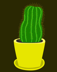 Flat drawing of a cactus. Cactus in a yellow pot. Houseplant. Gardening. Isolated, black. vector