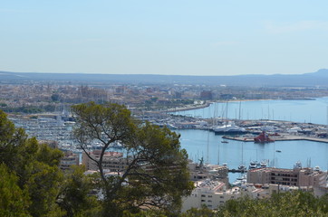 Majorka, panorama Palmy