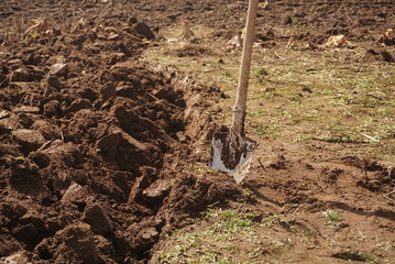 Shovel In Soil