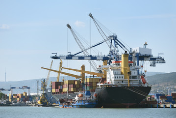 Special cranes for loading ships in the port. Special cranes in the seaport, unload container ship. Beautiful seaport in the background of mountains