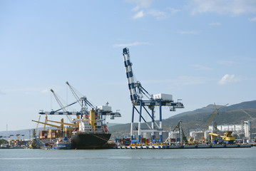 Fototapeta na wymiar Special cranes for loading ships in the port. Loading cranes and cargo ship with containers against the background of mountains and blue sky