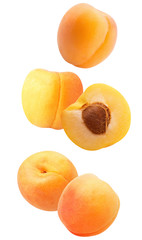 collection of apricots isolated on a white background