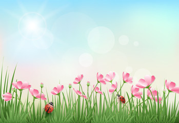 Fototapeta na wymiar Cosmos flowers and blue sky spring season paper craft background
