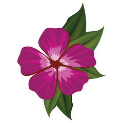beautiful flower and leafs decorative icon