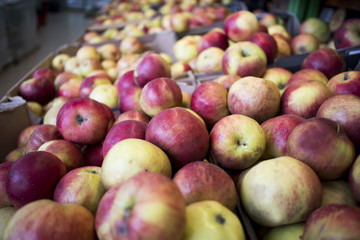 Organic apples in wooden boxes in the supermarket are sorted by varieties