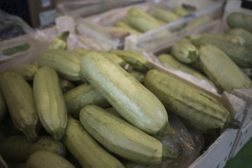 courgettes in boxes on the market