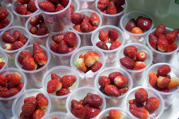  strawberry in the plastic cup