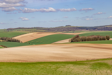 South Downs Landscape in Spring