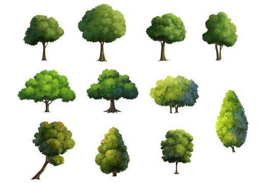 Fototapeta Illustration of trees  isolated on white background