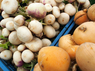 Gelbe und wei&szlig;e R&uuml;ben auf dem Wochenmarkt