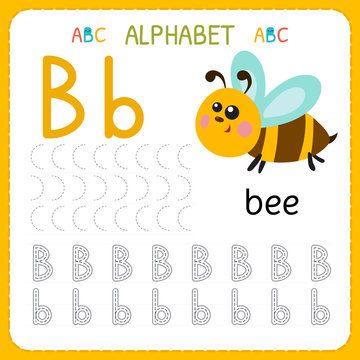 Alphabet tracing worksheet for preschool and kindergarten. Writing practice letter B. Exercises for kids