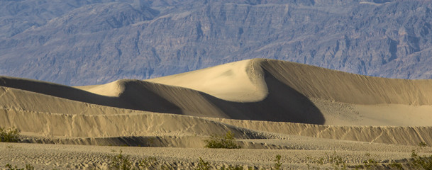 Death Valley's Mesquite Dunes