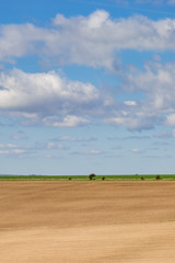 South Downs Landscape in Spring