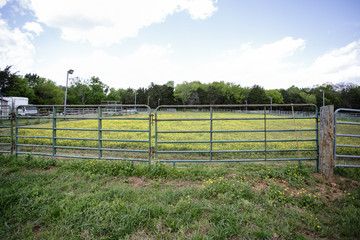 green pasture field