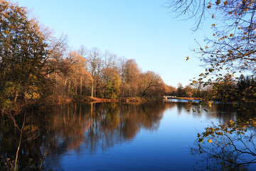 Fototapeta na wymiar autumn trees on the shore of a pond