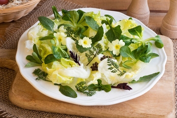 Spring salad with primula, nipplewort and other wild edible plants