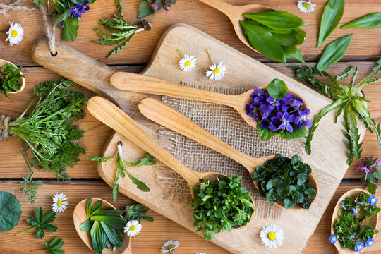 Wild edible spring herbs on wooden spoons