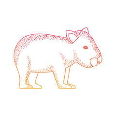 wild wombat australian creature