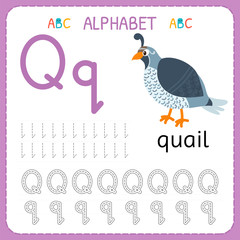 Alphabet tracing worksheet for preschool and kindergarten. Writing practice letter Q. Exercises for kids