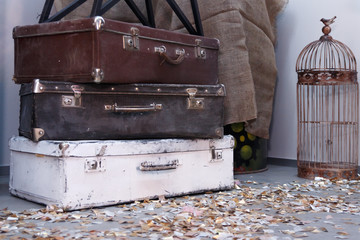 Obraz premium Vintage retro style brown and white suitcases with birdcage in vintage style pots