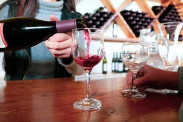 Fototapeta na wymiar Sommelier of the tasting room of the winery company pouring white red into a glass