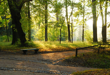 Fototapeta premium path in the park