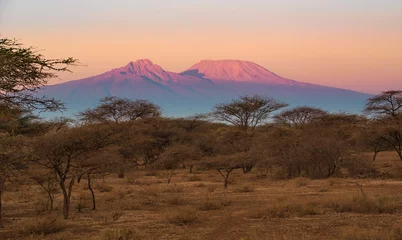 Plexiglas keuken achterwand Kilimanjaro Kilimanjaro in het ochtendlicht