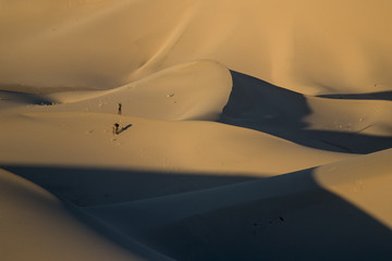 Ibex Dunes