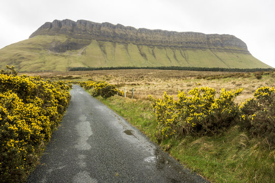 Benbulben, Dartry Mnts, County Sligo, Connacht, Republic of Ireland