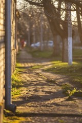 Fototapete bei efototapeten.de bestellen   