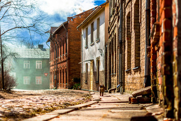 Fototapeta na wymiar Cat walking on a sidewalk of an old town street in Limbazi, Latvia