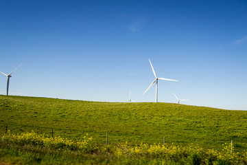 Fototapeta na wymiar Windmills in open field