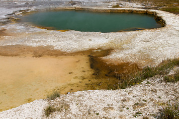 Black Opal Spring 3