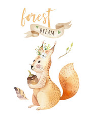 Cute watercolor bohemian baby squirrel animal poster for nursary, alphabet woodland isolated forest illustration for children. Baby shower animals invitation