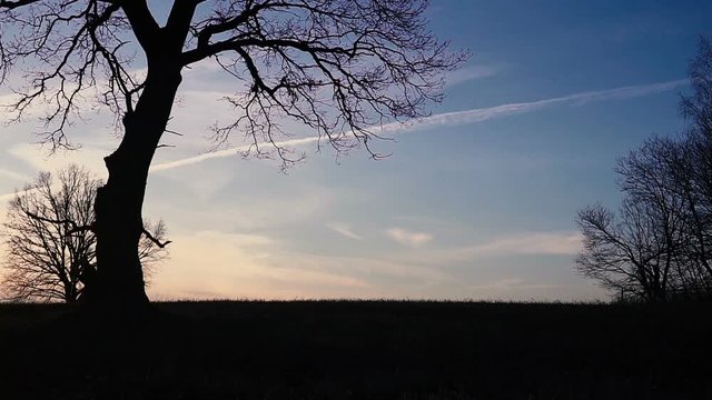 Grim Reaper sunset silhouette. concept of death