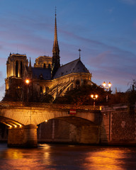 Fototapeta na wymiar Notre Dame at night, Paris, France