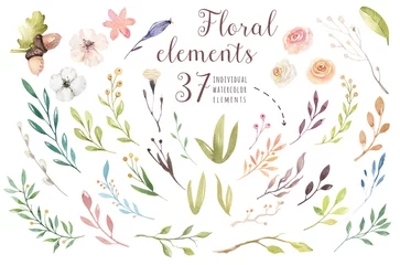 Setzen Sie Vintage-Aquarell-Grünelemente von Blumen, Garten- und Wildblumen, Blättern, Zweigen, Blumen, isolierten Illustrationen, grünen böhmischen Blumensträußen © kris_art