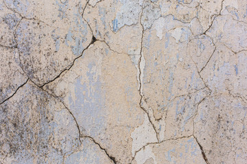 Asbestos slate texture concrete covered with lichen and moss	