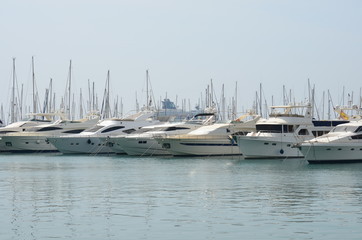 Alicante - yachts
