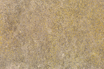 Asbestos slate texture concrete covered with lichen and moss	