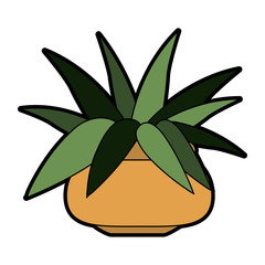 Plant with pot isolated vector illustration graphic design