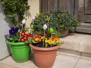 Fototapeta na wymiar Flower pots with flowers and easter eggs